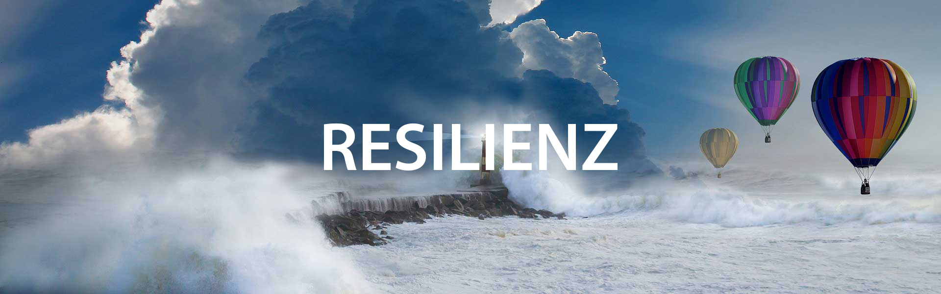 Vortrag Resilienz - Antje Heimsoeth