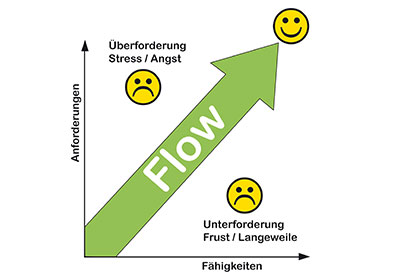 Flow - Online Kurs Mentaltraining für Reiter 